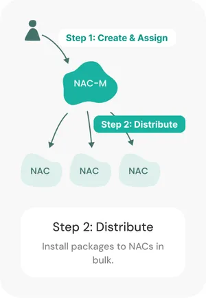 Process diagram — NAC-M distributes to NACs; Step 2 (Distribute) active: install packages to NACs in bulk.
